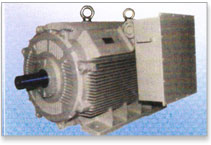 Standard CGL Motor